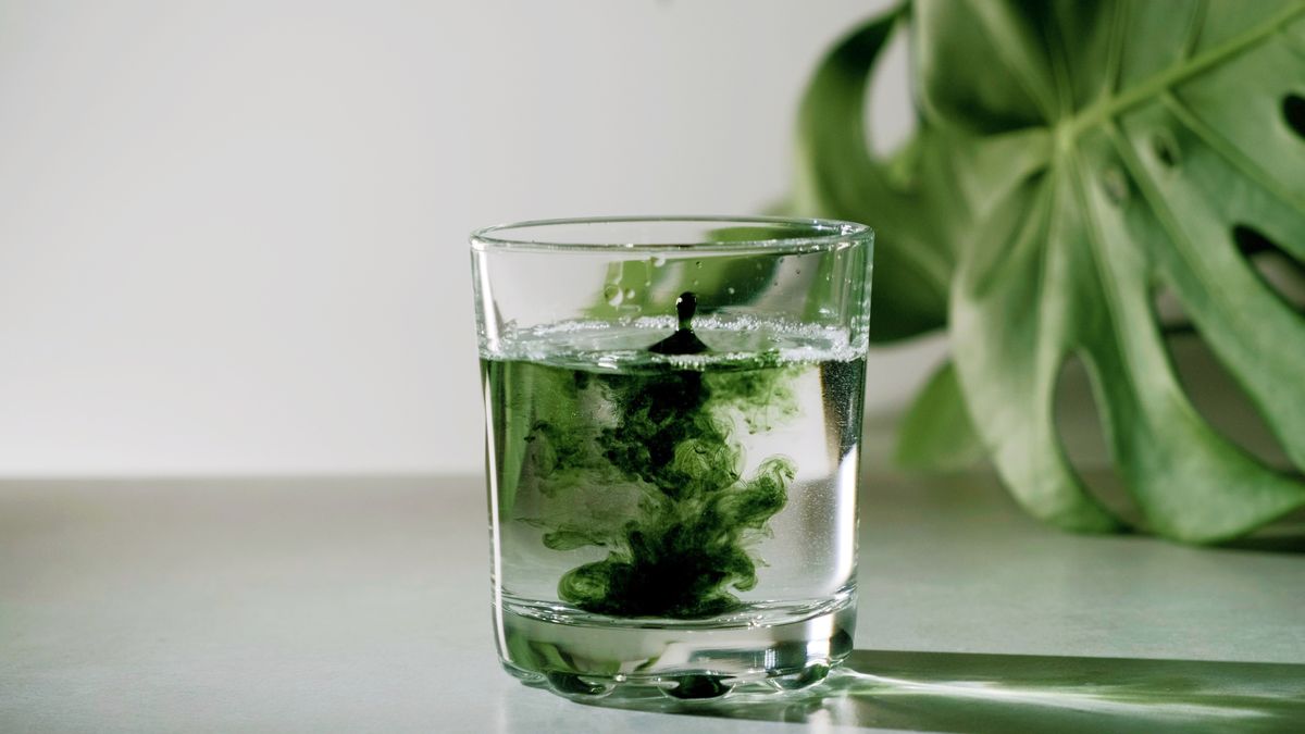 The Three Advantages of Consuming Chlorophyll Water