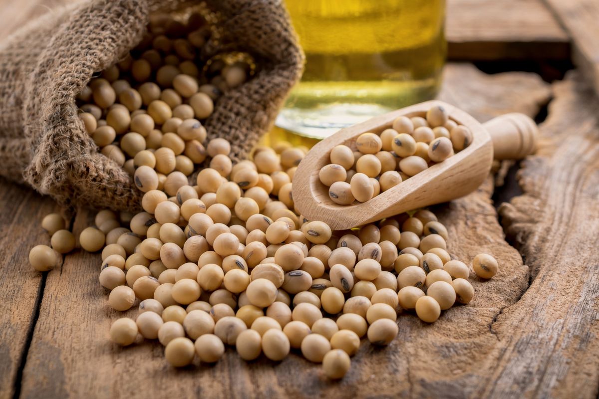 Soybeans Show Promising Results in Reducing Cholesterol Levels Comparable to Statins: Stud