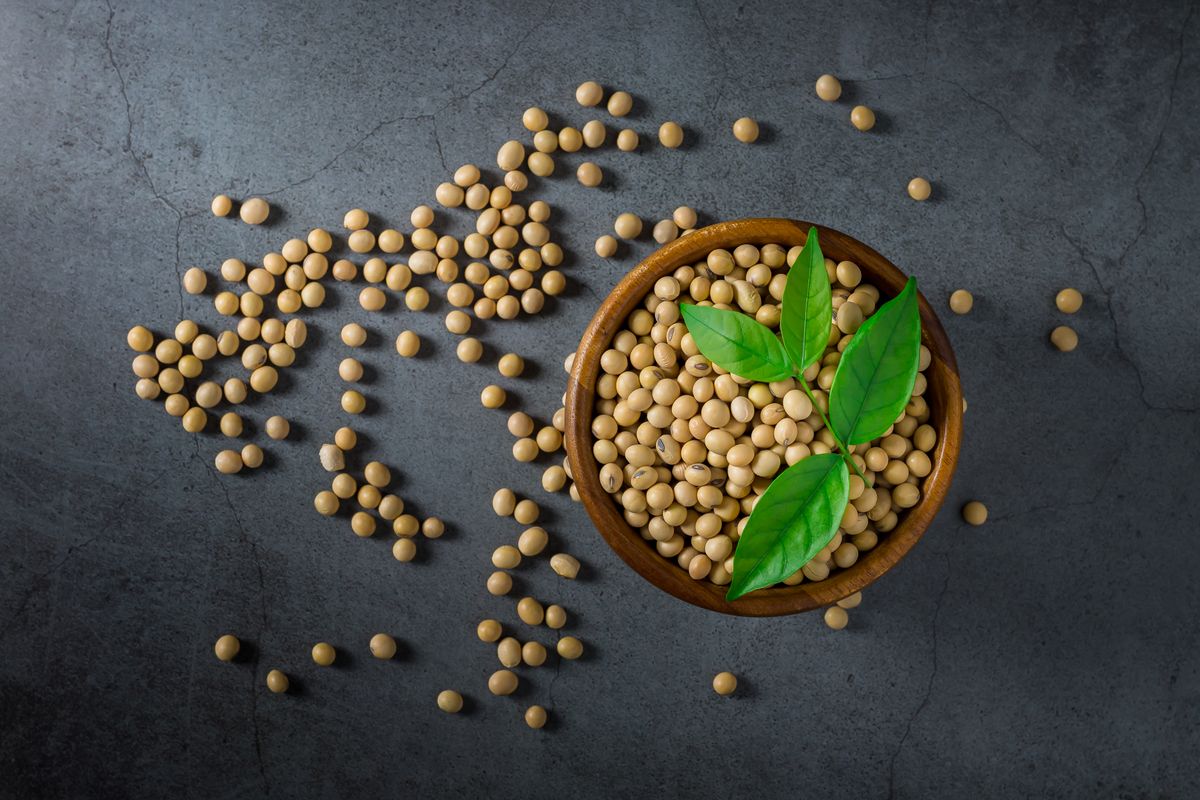 Study Suggests that Soybeans Could Be as Effective as Statins in Reducing Cholesterol Levels