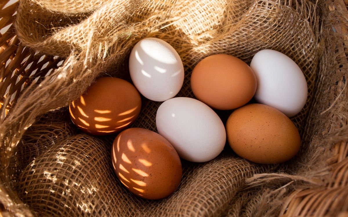 Which Are Healthier, Brown or White Eggs