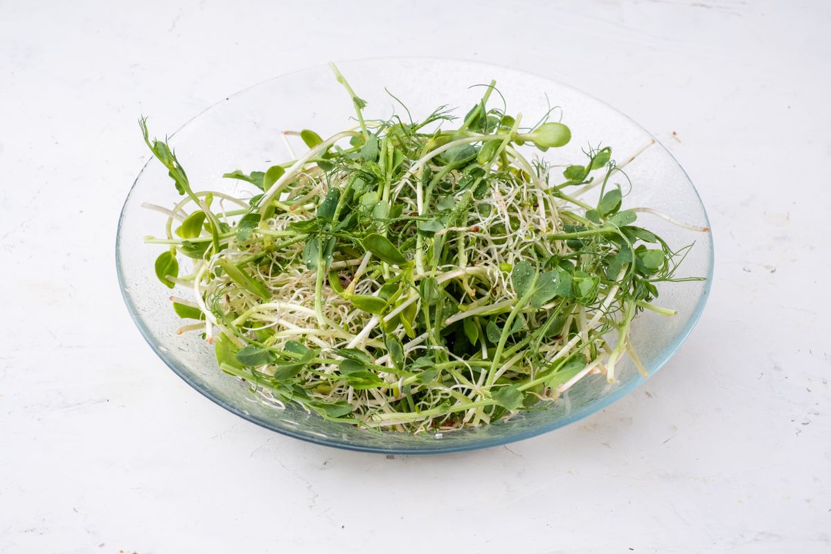 The Surprising Health Benefits of Consuming Microgreens