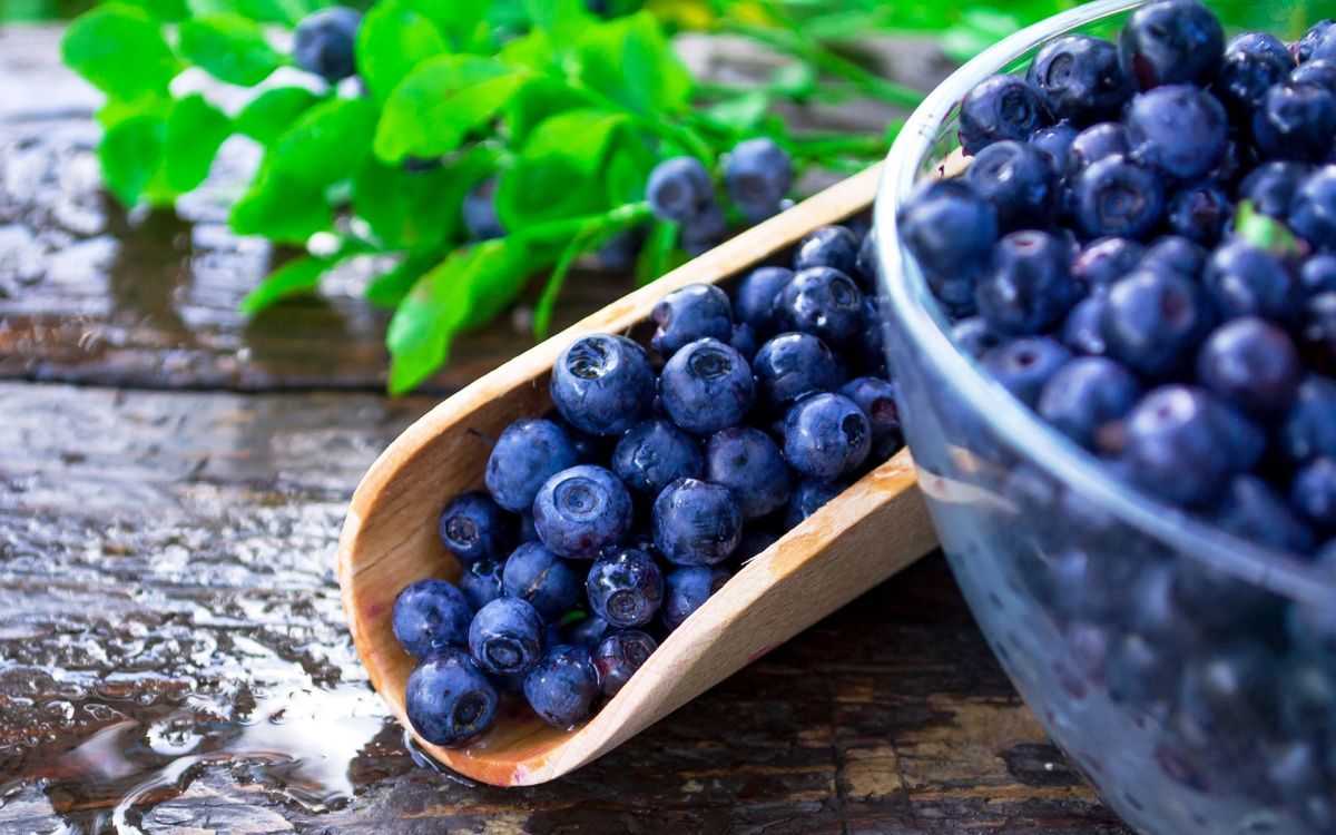 6 Benefits of Blueberries