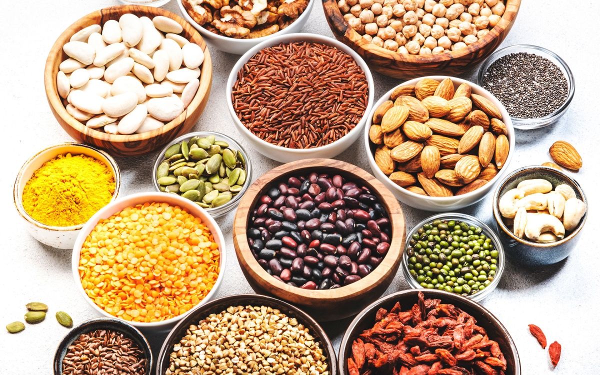 Vegetarian Protein Sources: Meeting Nutritional Needs on a Plant-based Foods