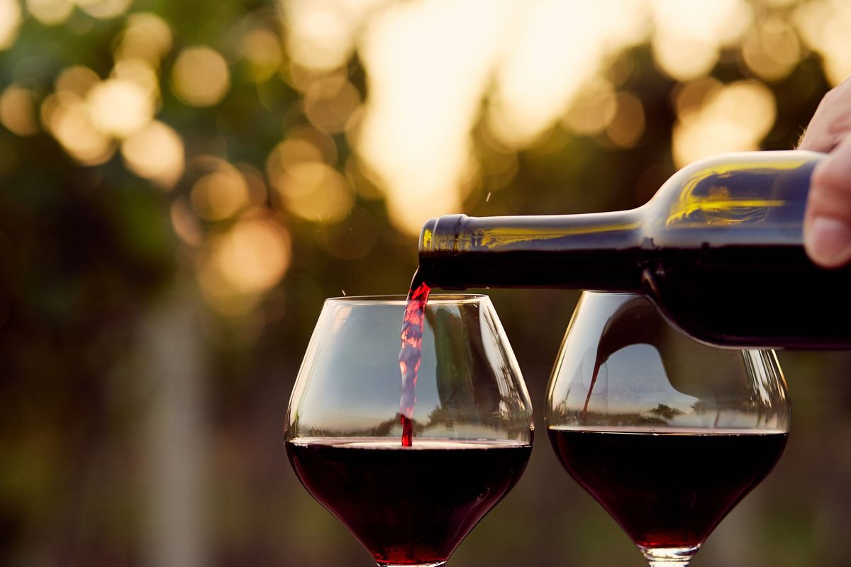 Top 10 Affordable Red Wines with a Premium Taste, as Recommended by Sommeliers