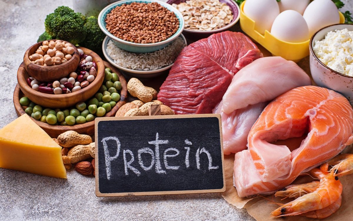 Why You Should Include Protein in Your Diet