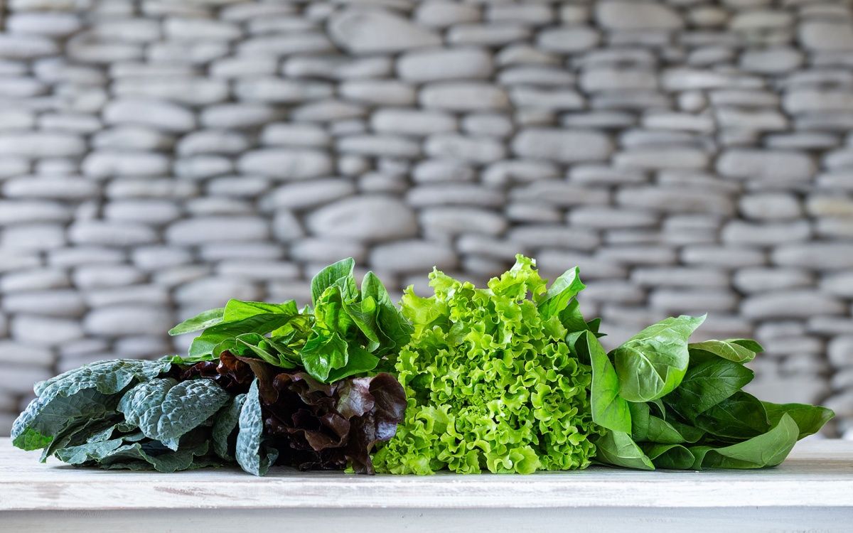 Ranking the Most Nutrient - Dense Leafy Vegetables