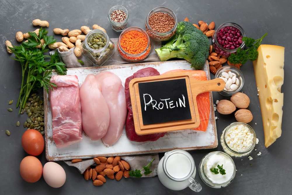 How Much Protein Do You Need Daily for Muscle Building?