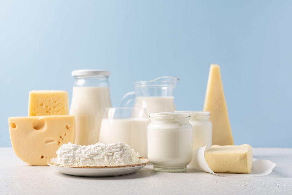 Top 10 Dairy Foods for Weight Loss and Health