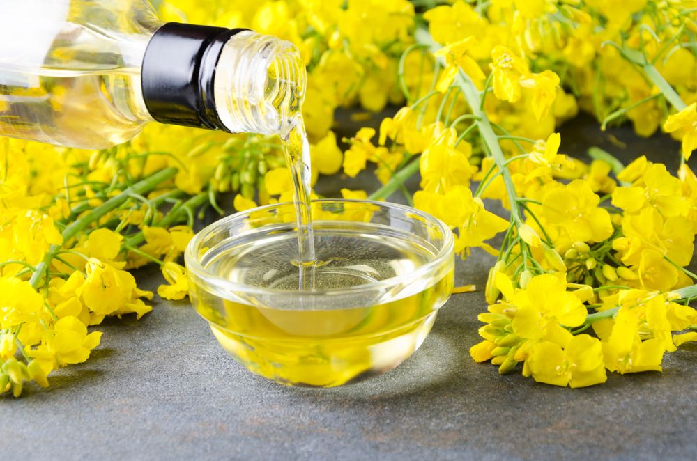 Canola vs. Vegetable Oil: Is One Healthier?