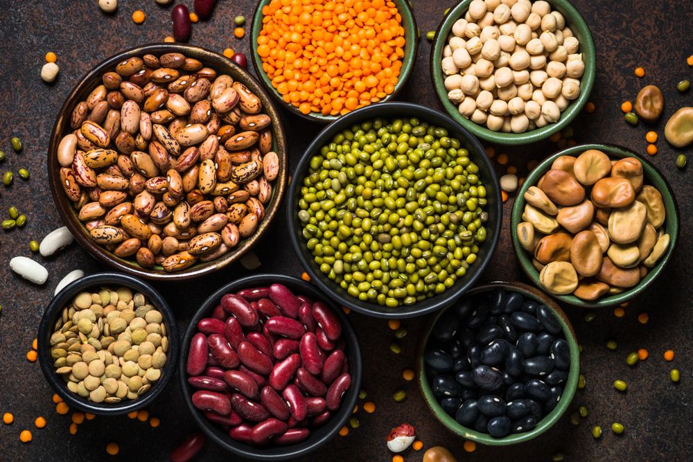 14 Healthiest High-Protein Beans You Can Eat